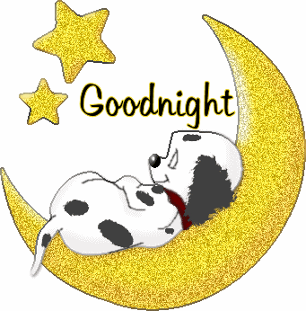 Immagine con la scritta "Goodnight", con un cagnolino che dorme sopra una luna e le stelle di colore giallo e glitterate