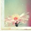 Calm, Assertive Consciousness