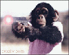 myspace layouts, myspace codes, glitter graphics