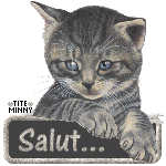 myspace layouts, myspace codes, glitter graphics
