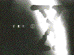 http://dl6.glitter-graphics.net/pub/540/540506olza5jpgky.gif