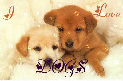 love dogs puppies thank you