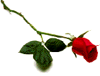 916516x508q2capw.gif