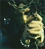 986226anehopla46.gif